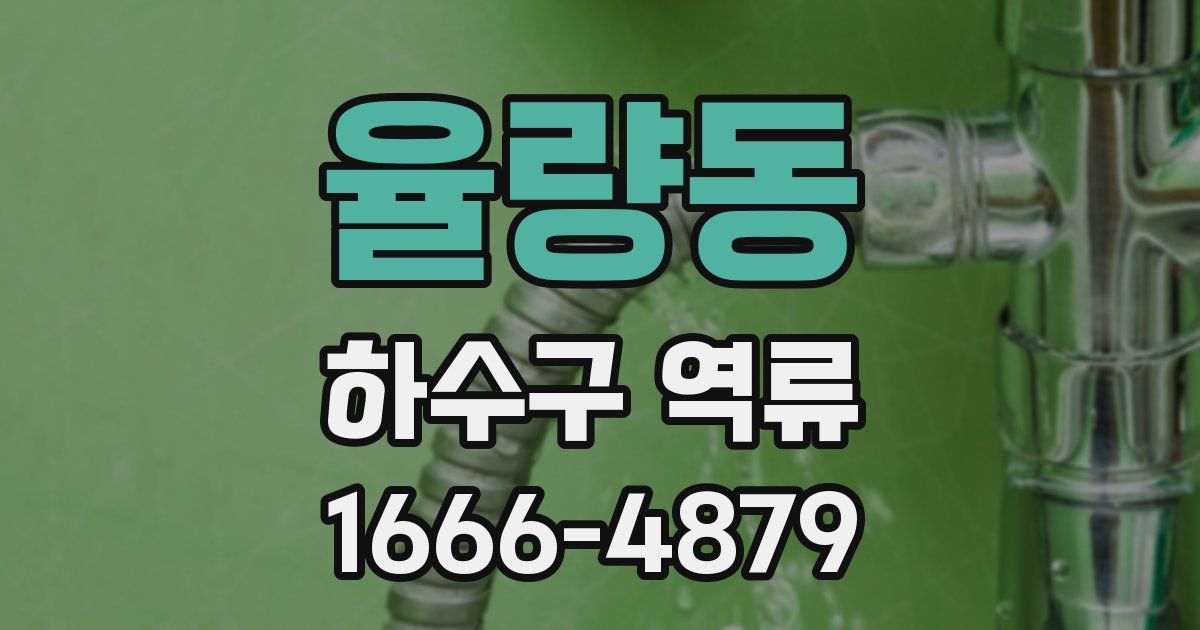 율량동 하수구 역류