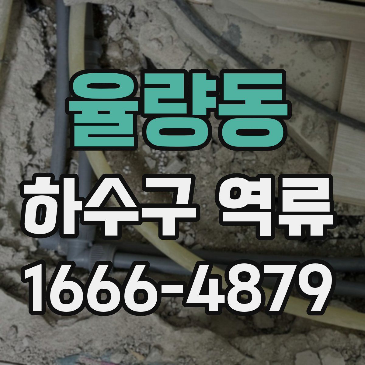 율량동 하수구 역류