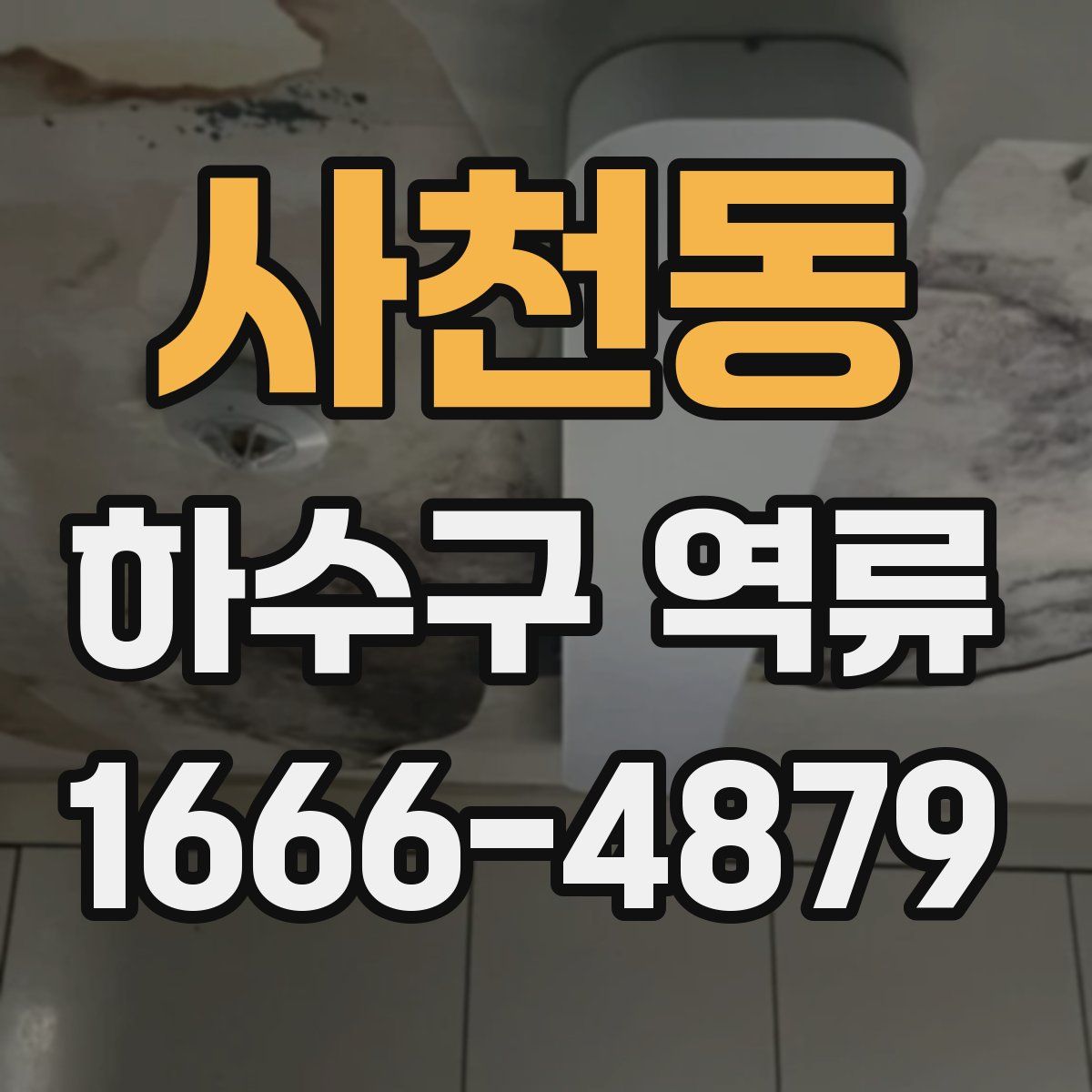 사천동 하수구 역류