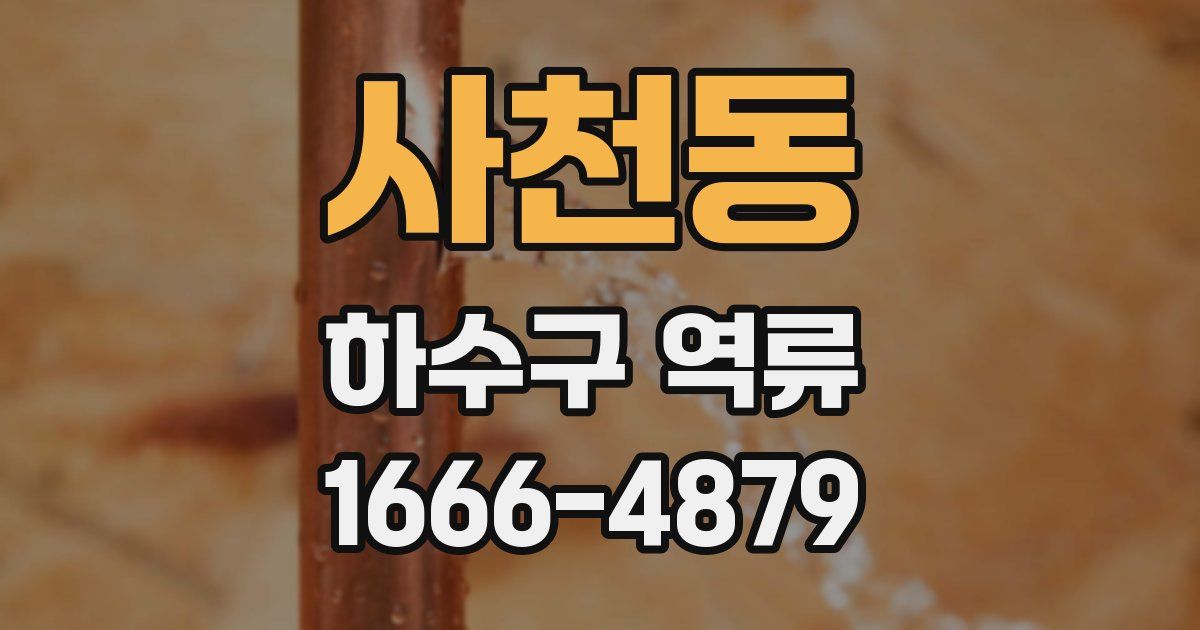 사천동 하수구 역류