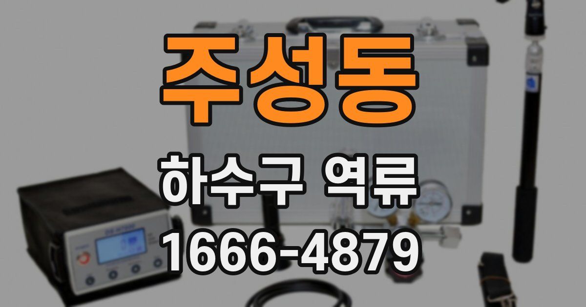 주성동 하수구 역류