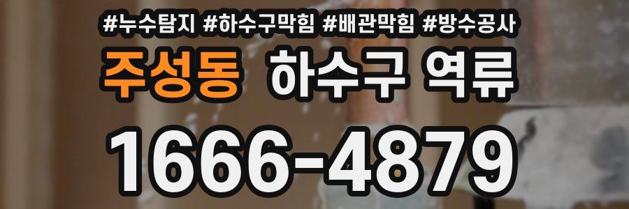 주성동 하수구 역류