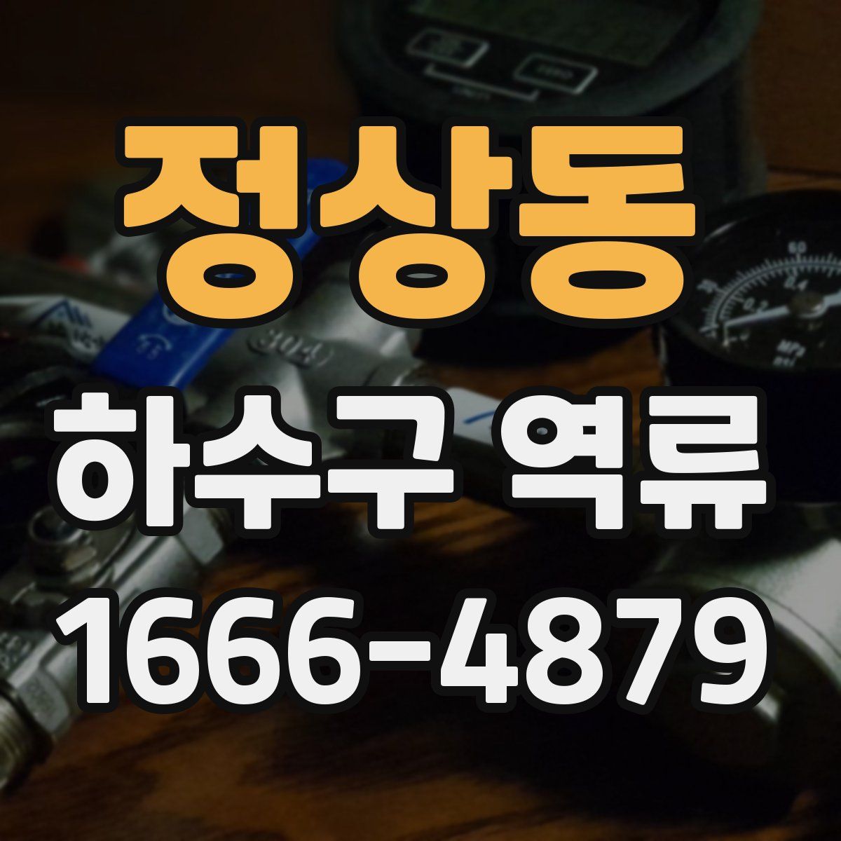 정상동 하수구 역류