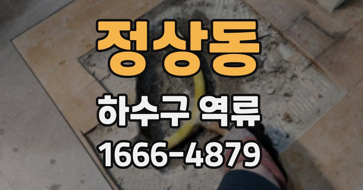 정상동 하수구 역류