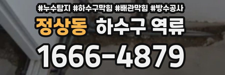 정상동 하수구 역류