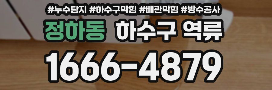 정하동 하수구 역류