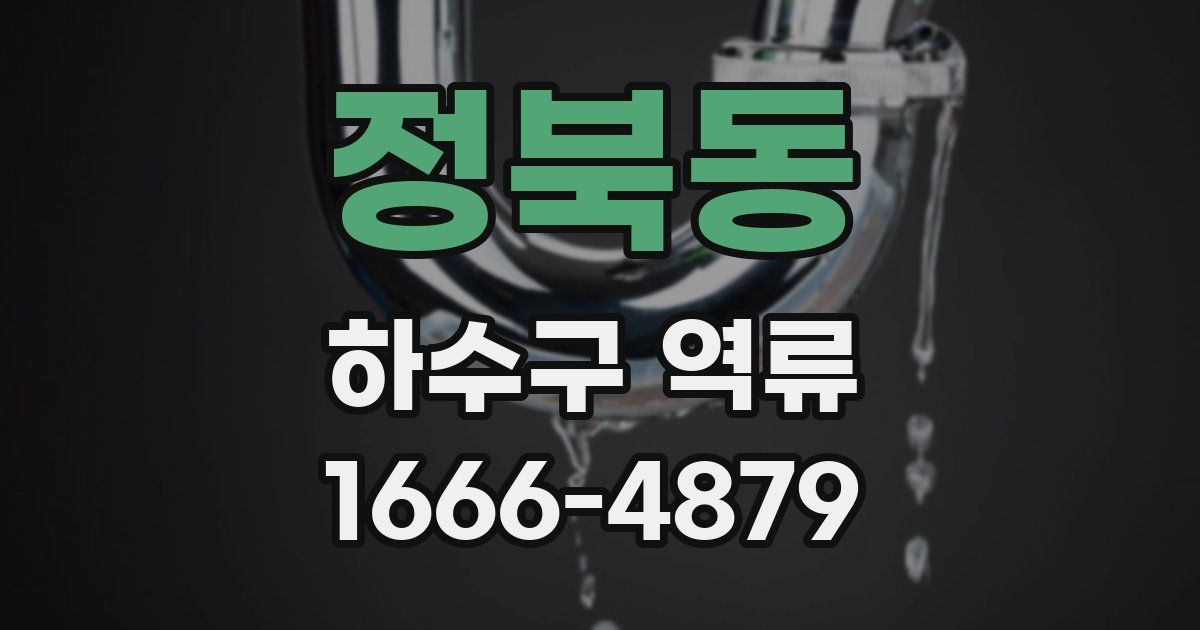 정북동 하수구 역류