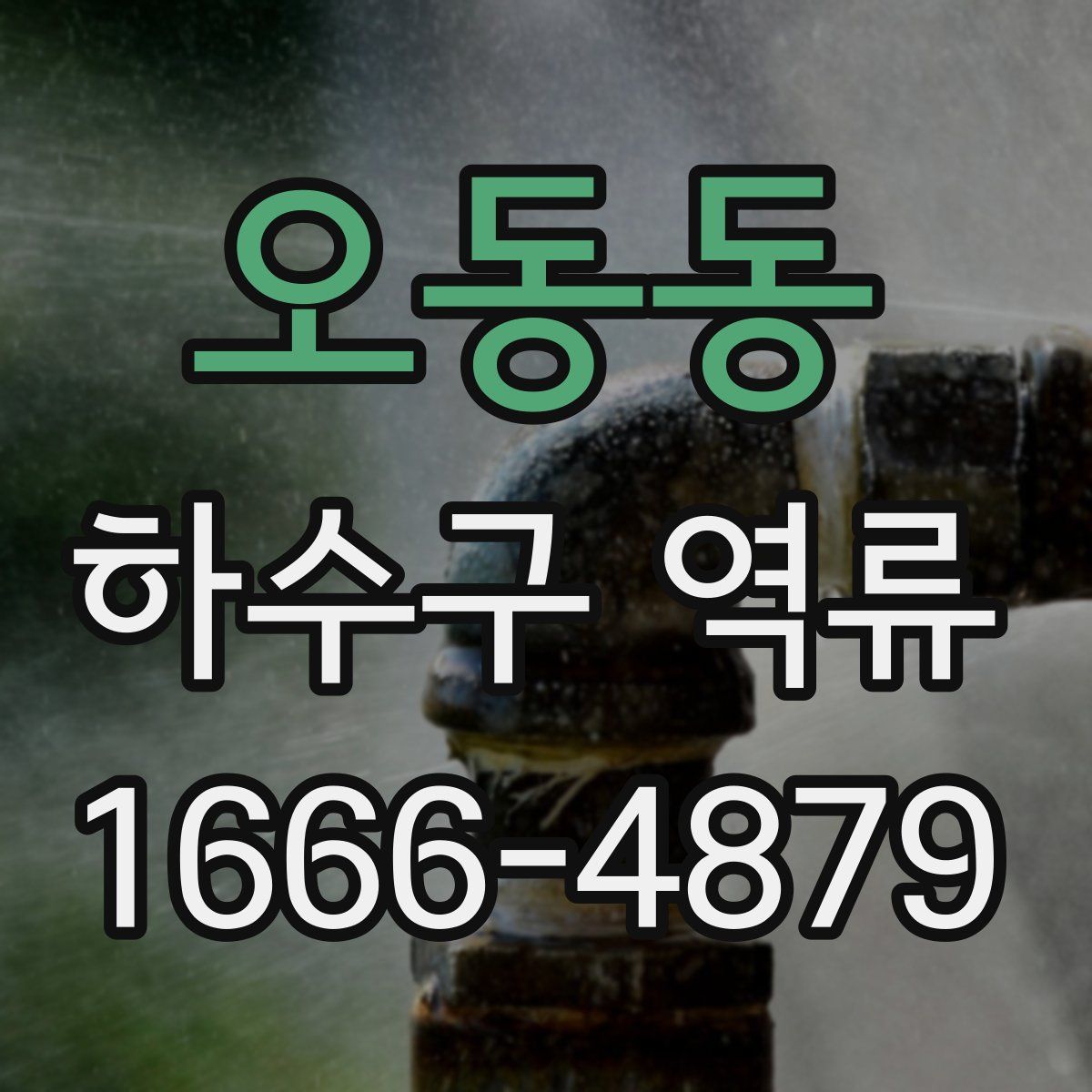 오동동 하수구 역류