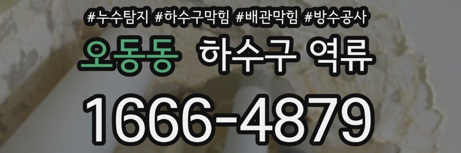 오동동 하수구 역류