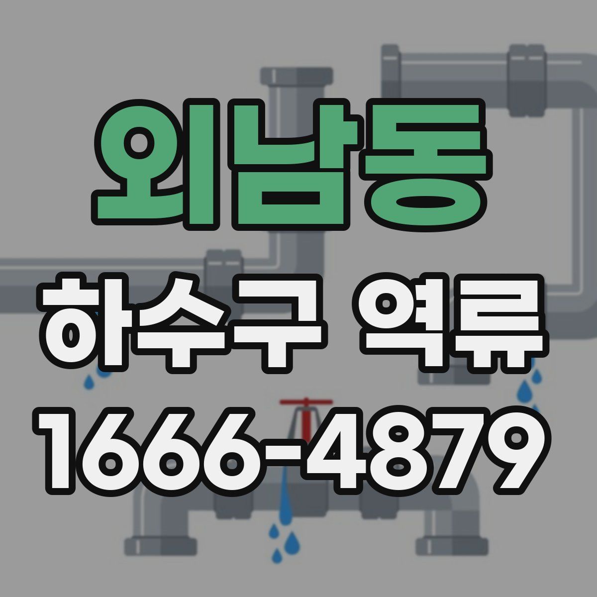 외남동 하수구 역류