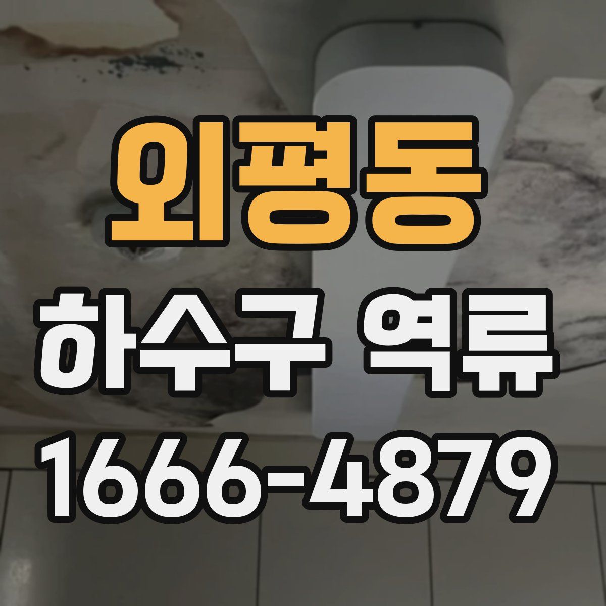 외평동 하수구 역류