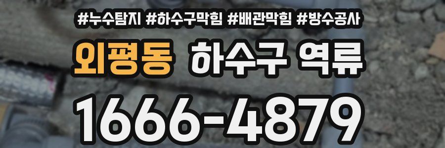 외평동 하수구 역류
