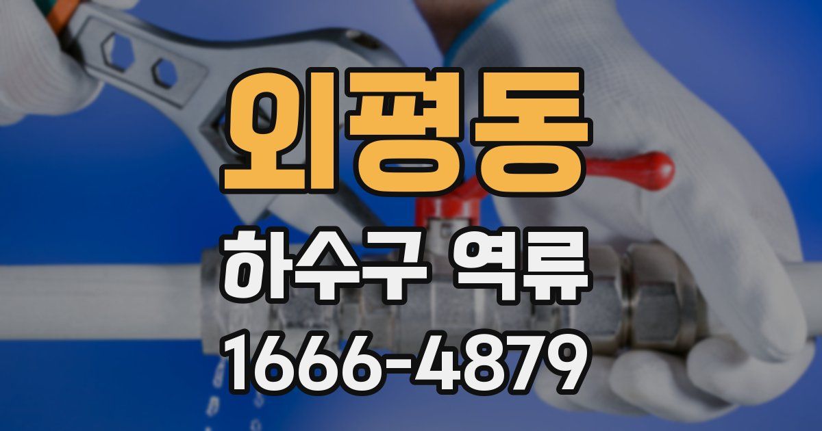 외평동 하수구 역류