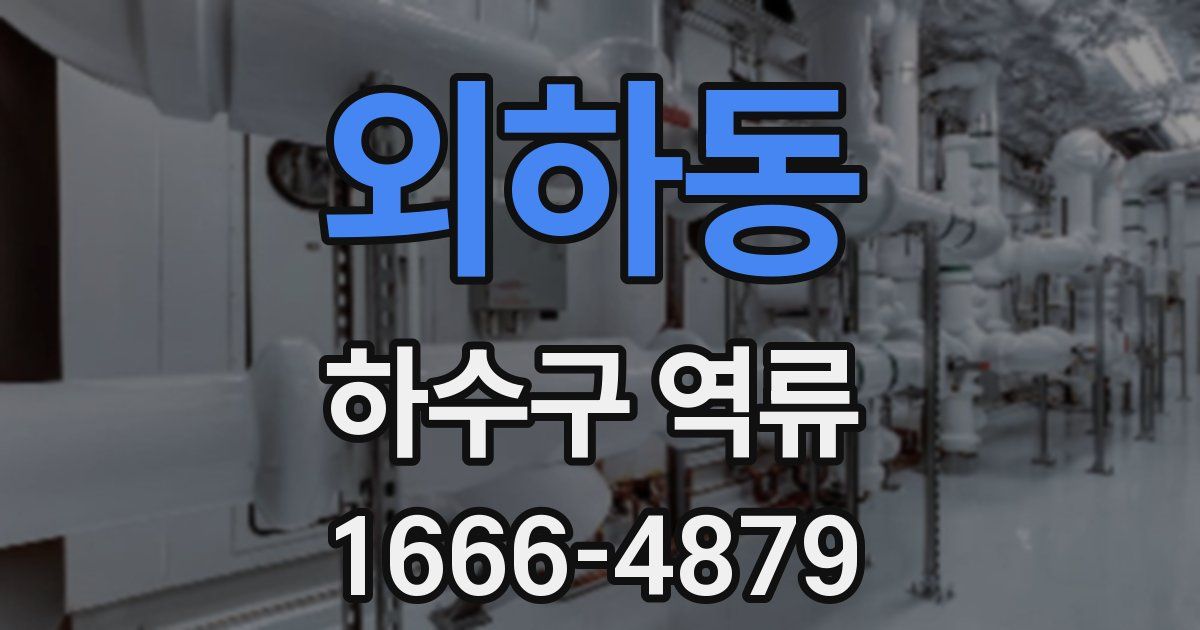 외하동 하수구 역류