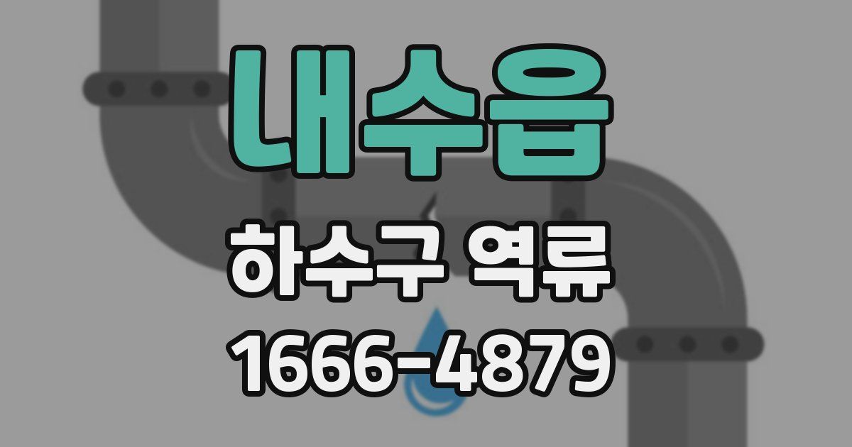 내수읍 하수구 역류