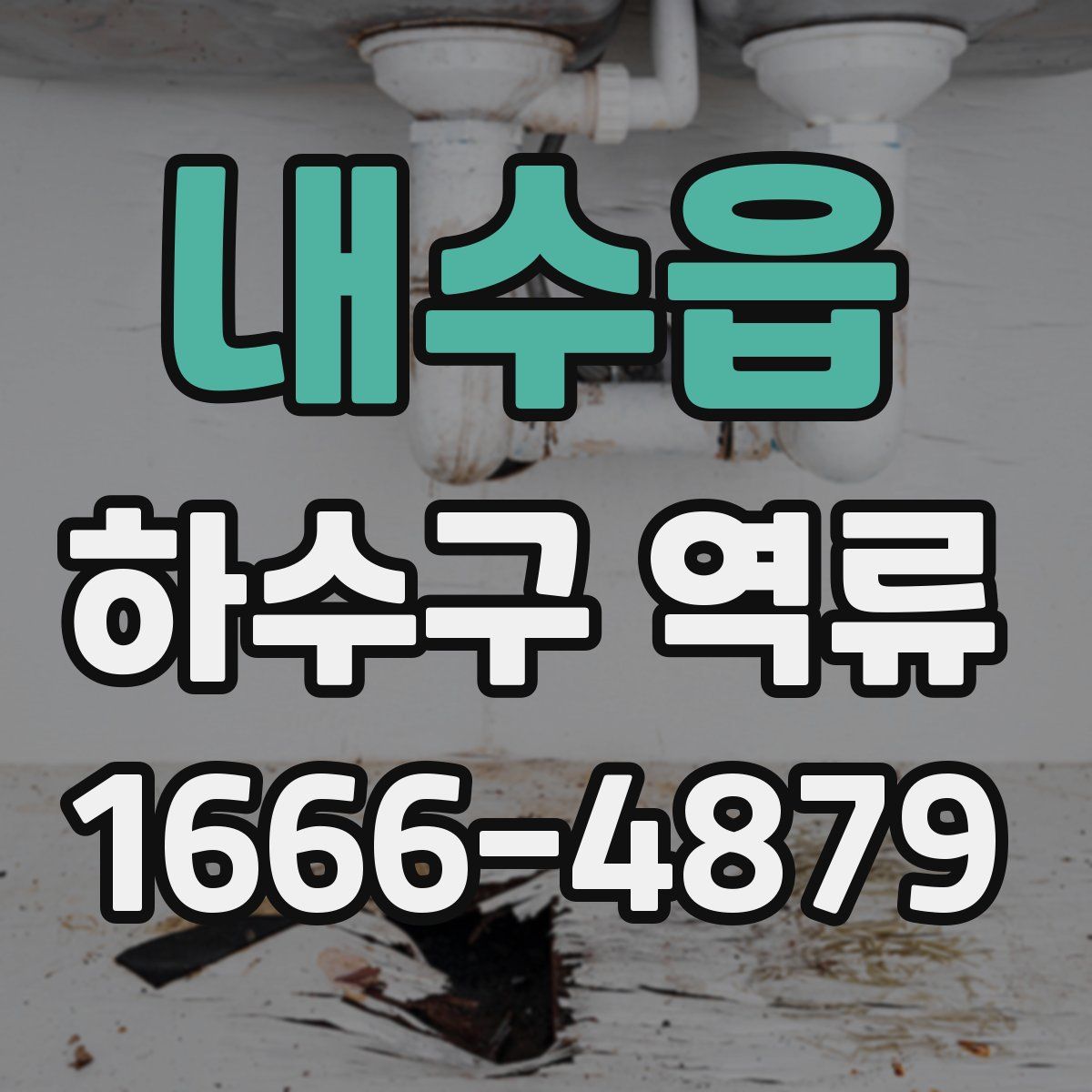 내수읍 하수구 역류