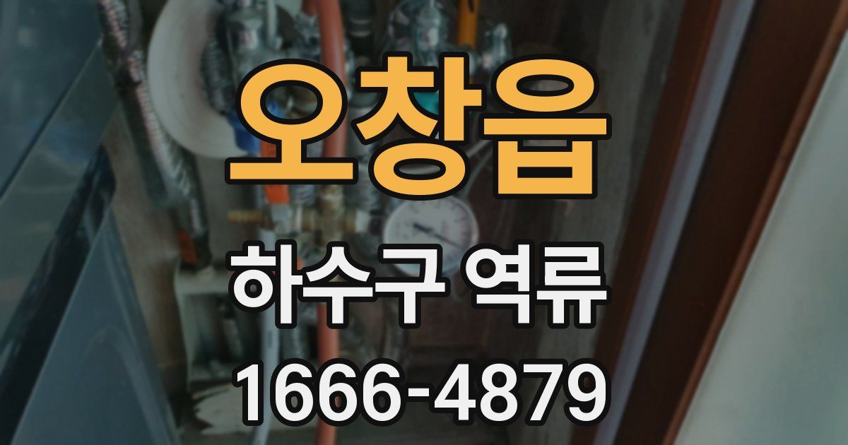 오창읍 하수구 역류