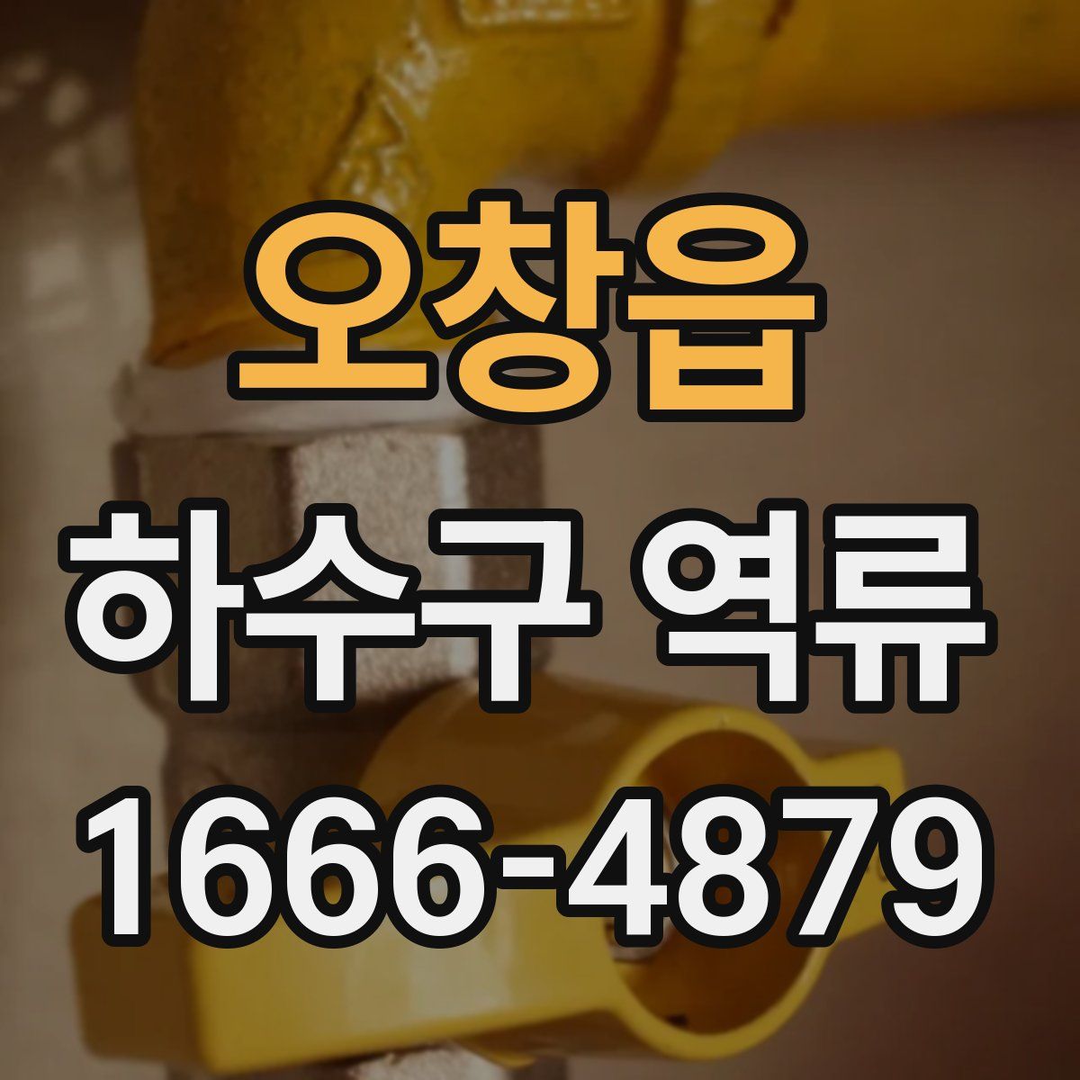 오창읍 하수구 역류