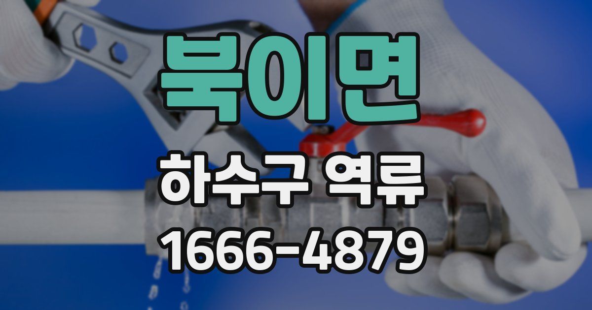 북이면 하수구 역류