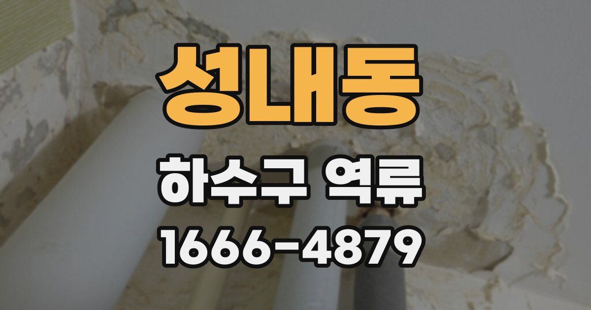 성내동 하수구 역류