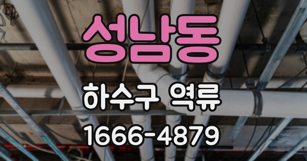 성남동 하수구 역류