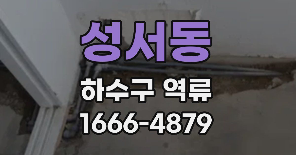 성서동 하수구 역류