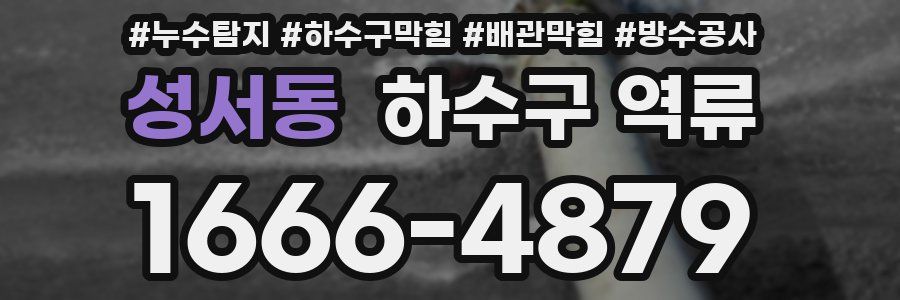 성서동 하수구 역류