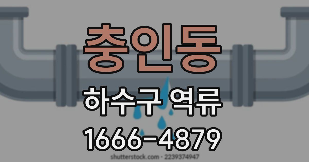 충인동 하수구 역류