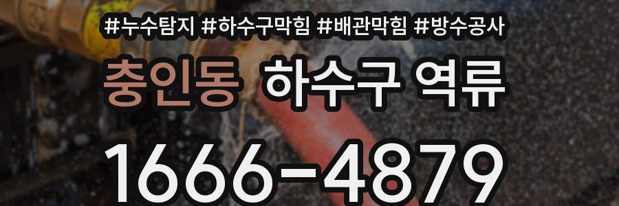 충인동 하수구 역류