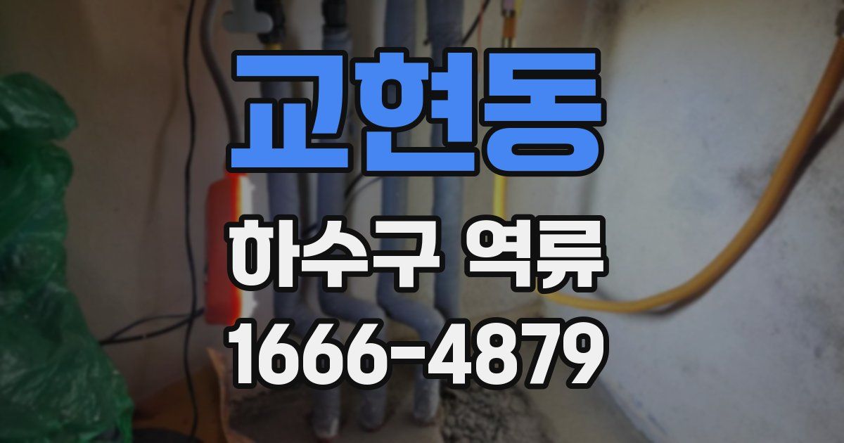 교현동 하수구 역류