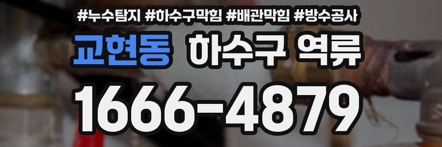 교현동 하수구 역류