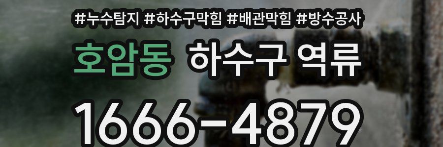 호암동 하수구 역류