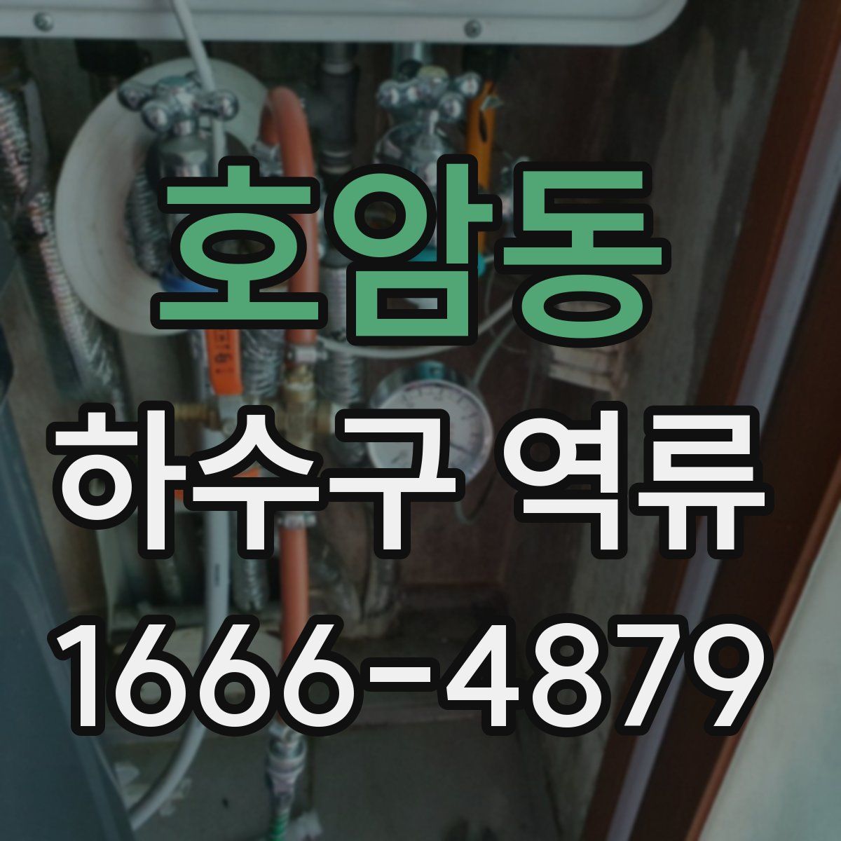 호암동 하수구 역류