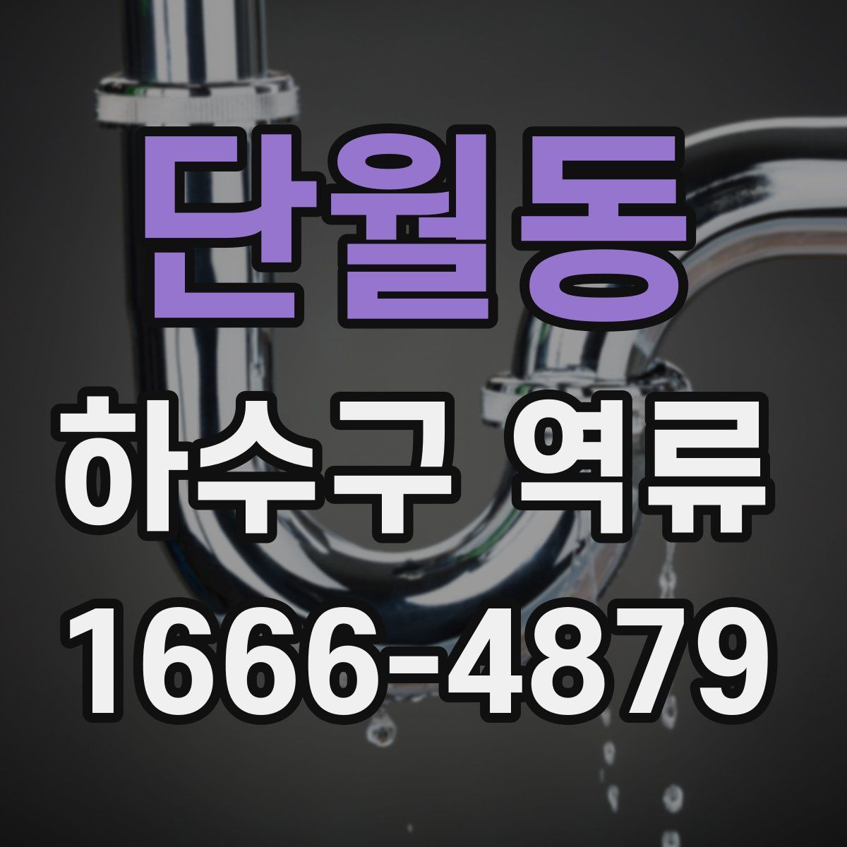 단월동 하수구 역류