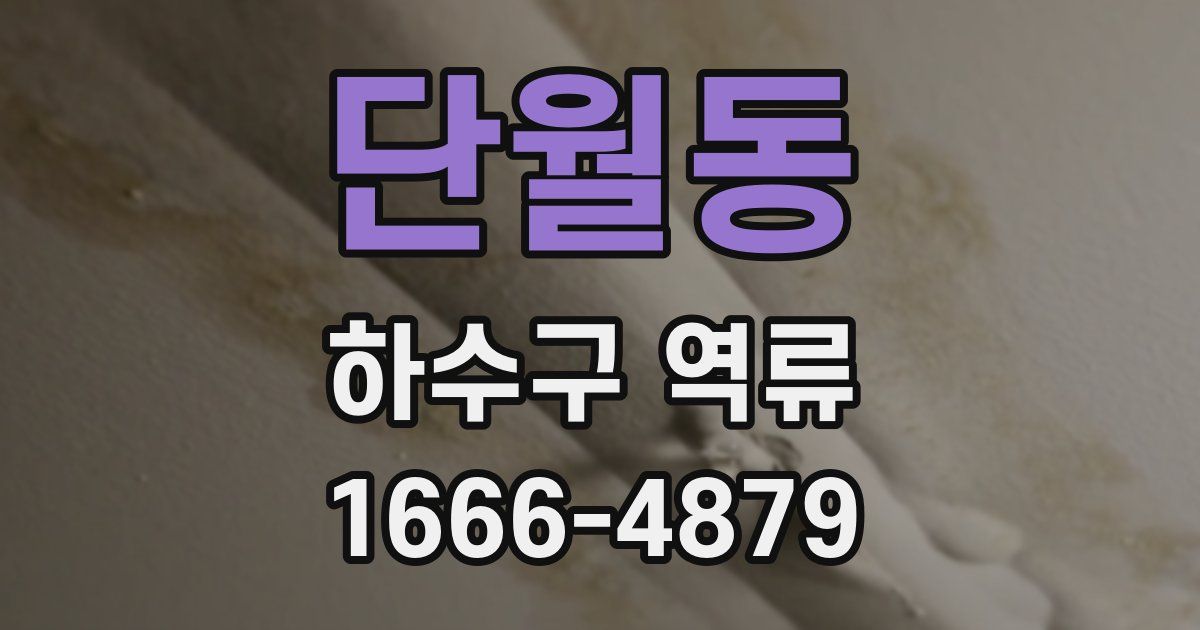 단월동 하수구 역류