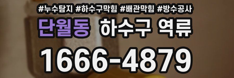 단월동 하수구 역류