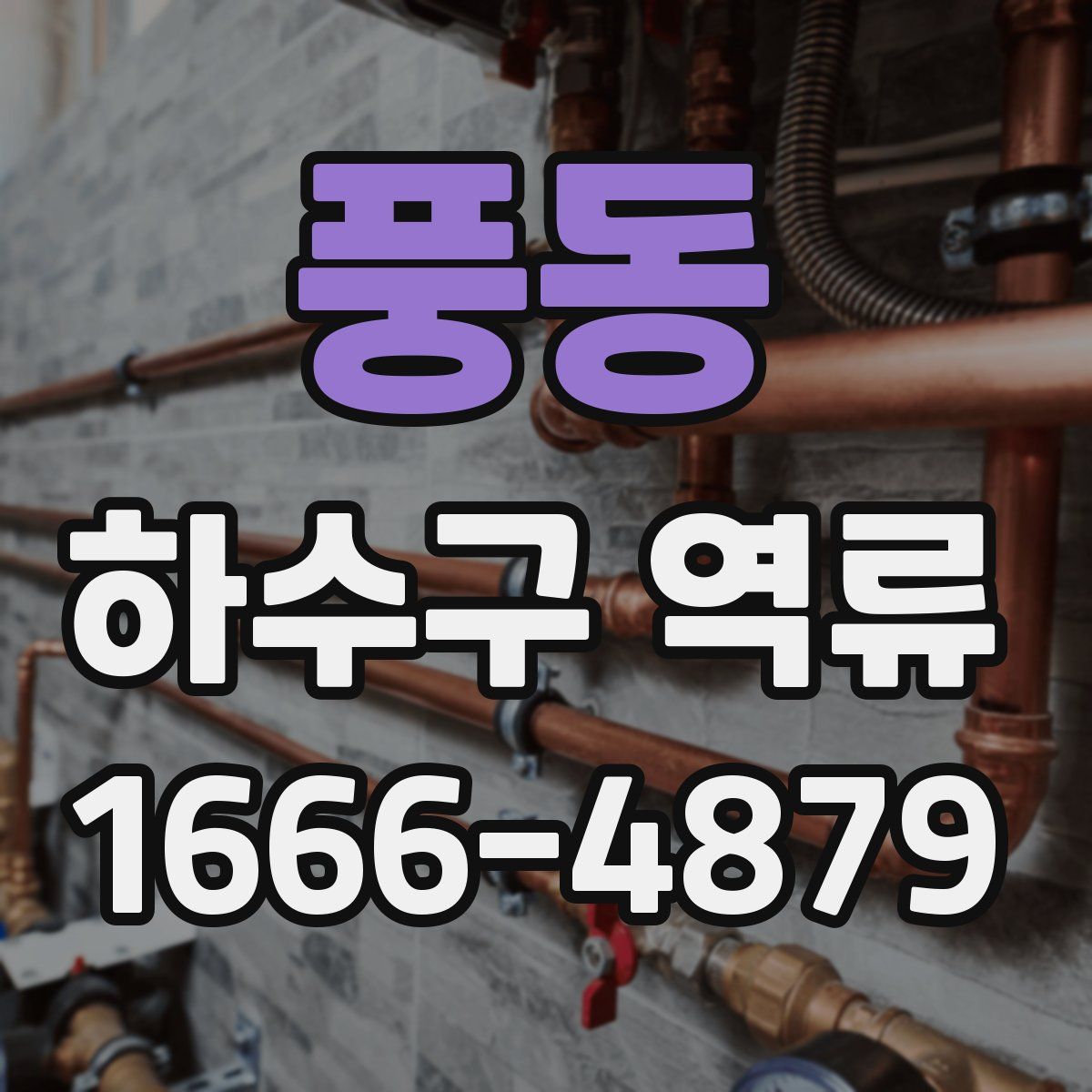 풍동 하수구 역류