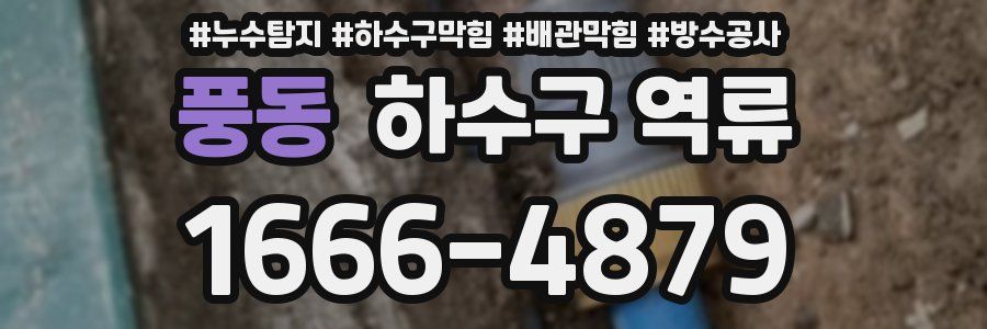 풍동 하수구 역류