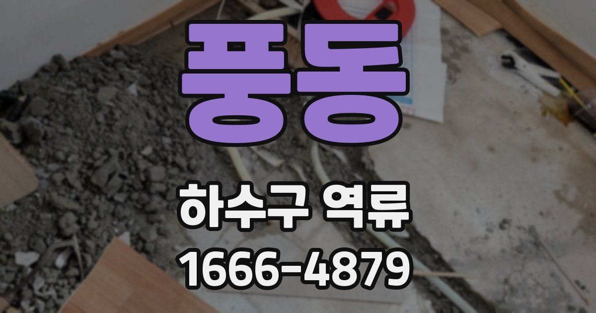 풍동 하수구 역류