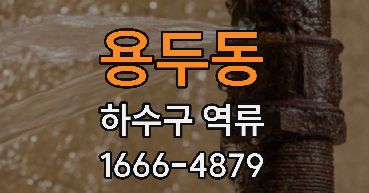 용두동 하수구 역류