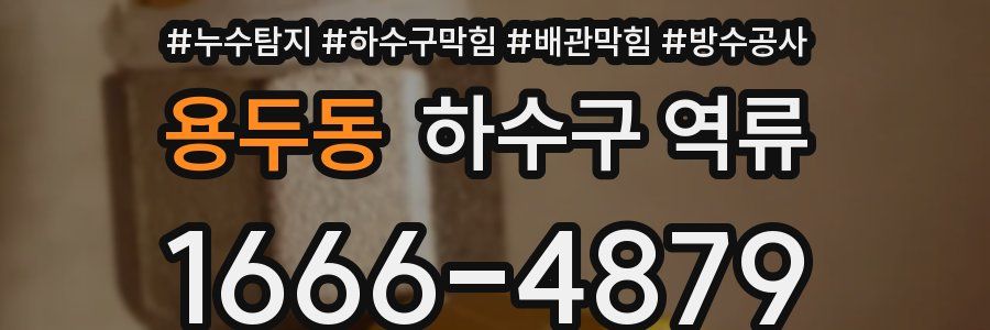 용두동 하수구 역류