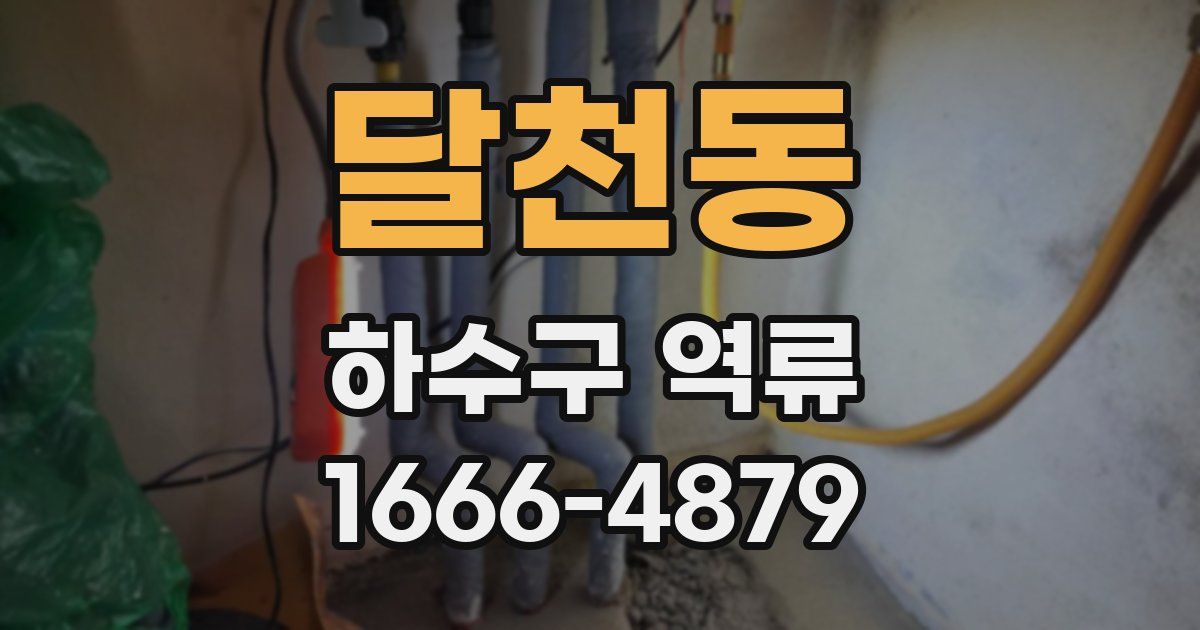 달천동 하수구 역류