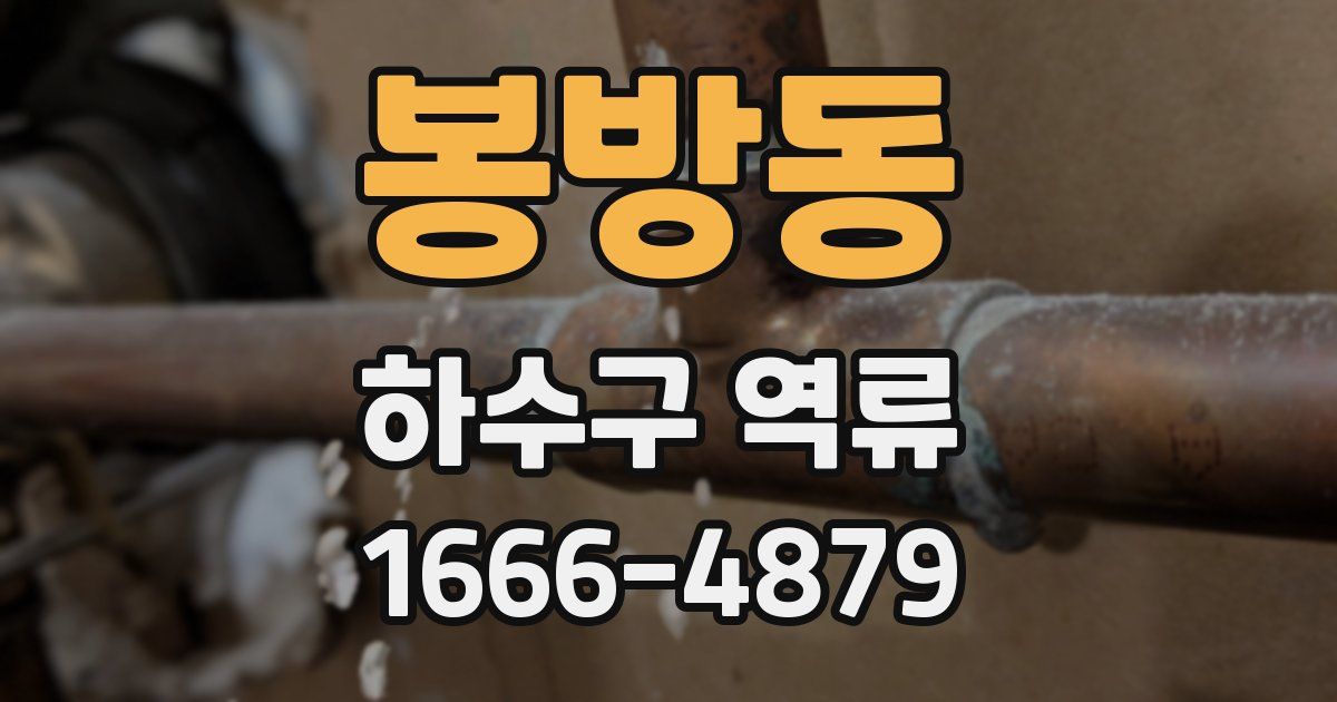 봉방동 하수구 역류