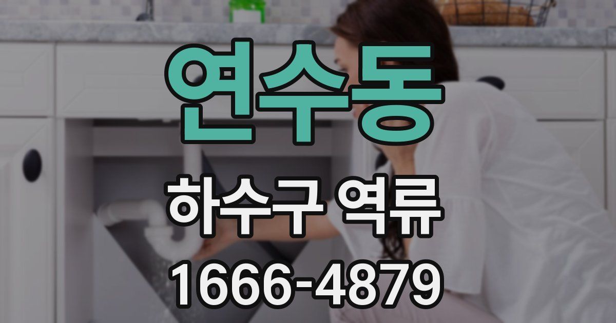 연수동 하수구 역류