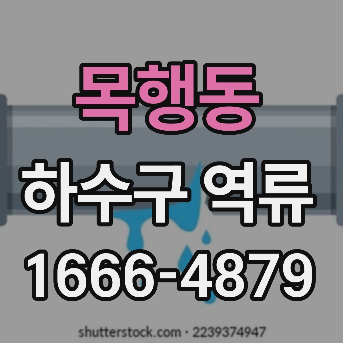 목행동 하수구 역류