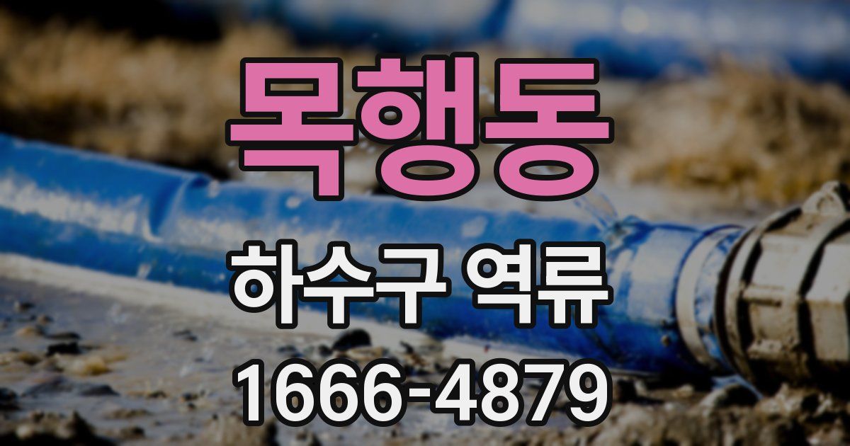 목행동 하수구 역류