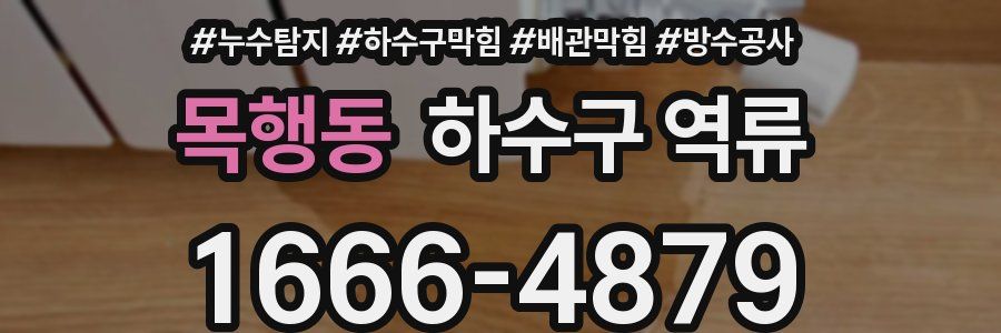 목행동 하수구 역류