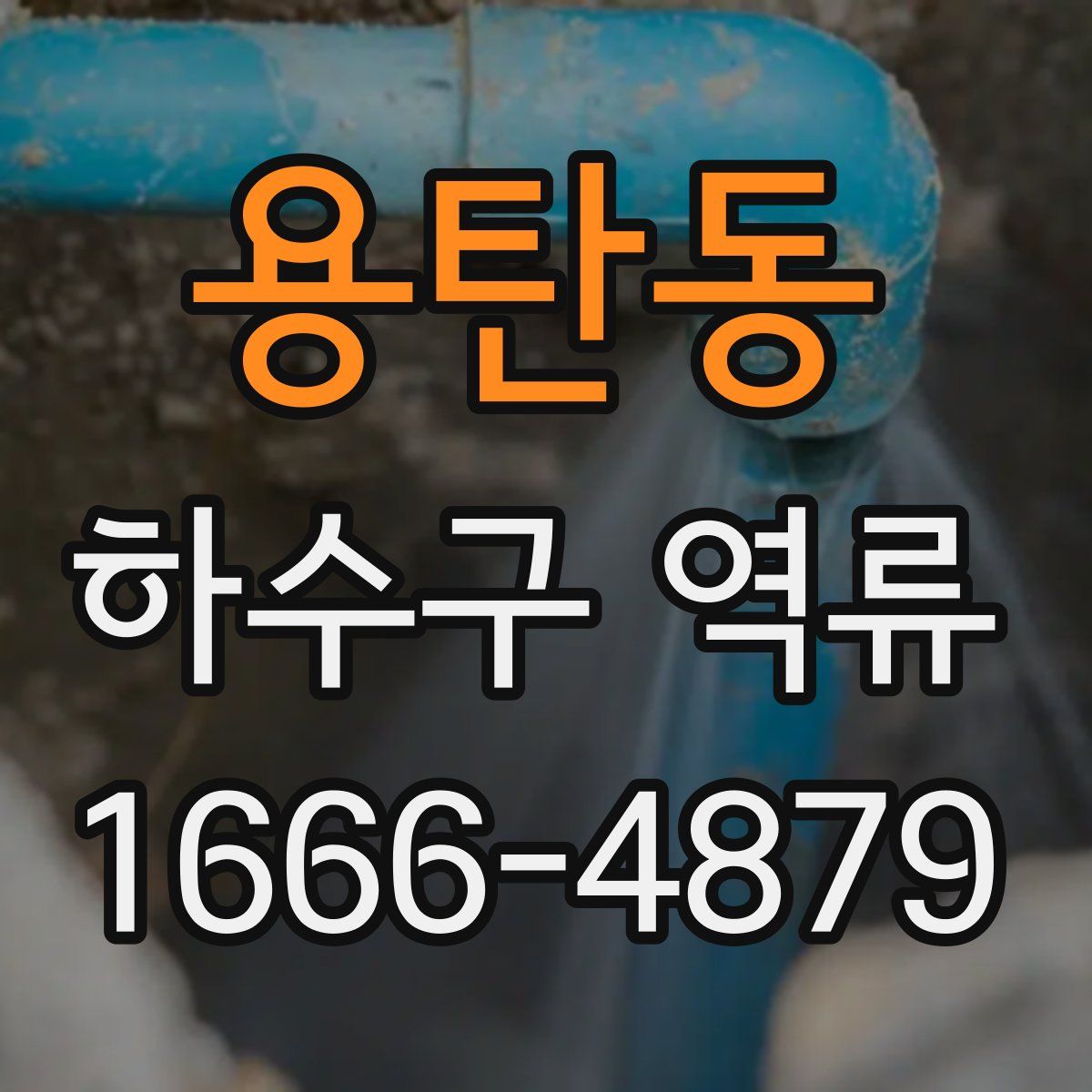 용탄동 하수구 역류