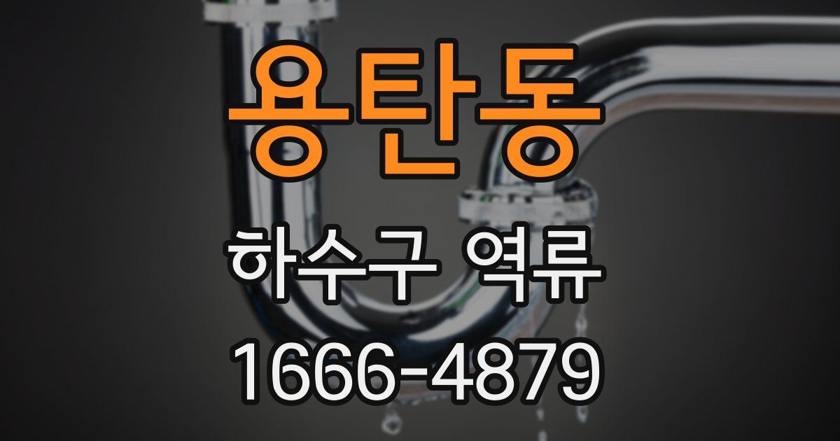 용탄동 하수구 역류