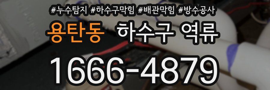 용탄동 하수구 역류